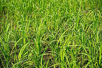 《Forza Motorsport》发布，将为赛车游戏带来新的真实感